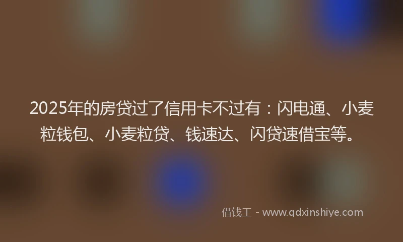2025年的房贷过了信用卡不过有：闪电通、小麦粒钱包、小麦粒贷、钱速达、闪贷速借宝等。