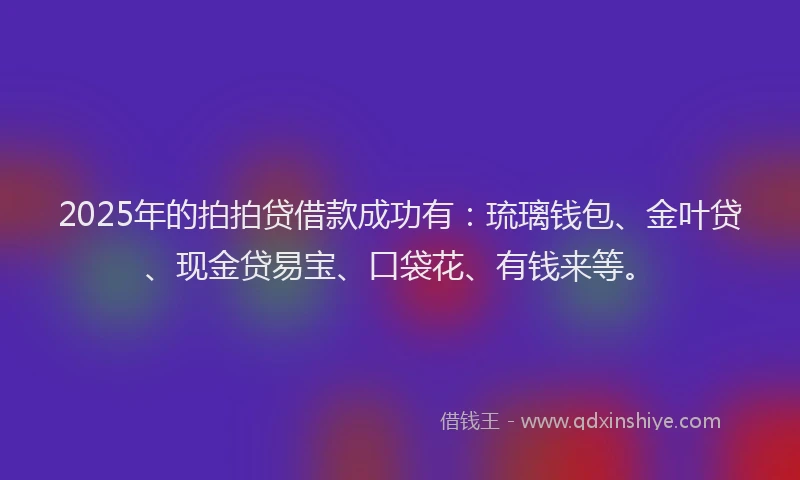 2025年的拍拍贷借款成功有：琉璃钱包、金叶贷、现金贷易宝、口袋花、有钱来等。