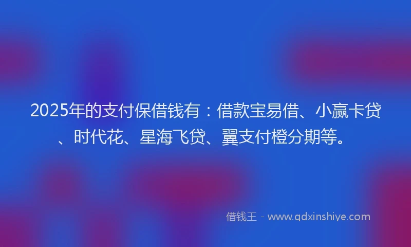 2025年的支付保借钱有：借款宝易借、小赢卡贷、时代花、星海飞贷、翼支付橙分期等。