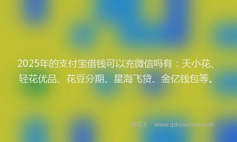 2025年的支付宝借钱可以充微信吗有：天小花、轻花优品、花豆分期、星海飞贷、金亿钱包等。