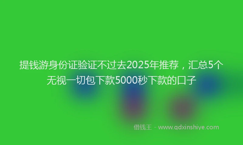 提钱游身份证验证不过去2025年推荐，汇总5个无视一切包下款5000秒下款的口子