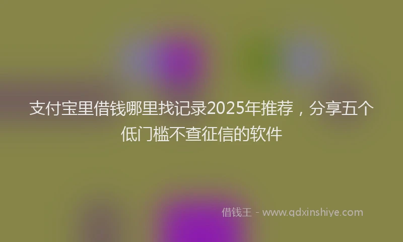 支付宝里借钱哪里找记录2025年推荐，分享五个低门槛不查征信的软件