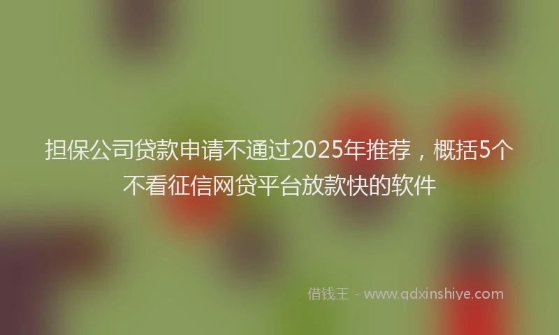 担保公司贷款申请不通过2025年推荐，概括5个不看征信网贷平台放款快的软件