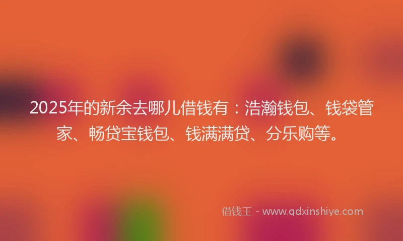 2025年的新余去哪儿借钱有：浩瀚钱包、钱袋管家、畅贷宝钱包、钱满满贷、分乐购等。