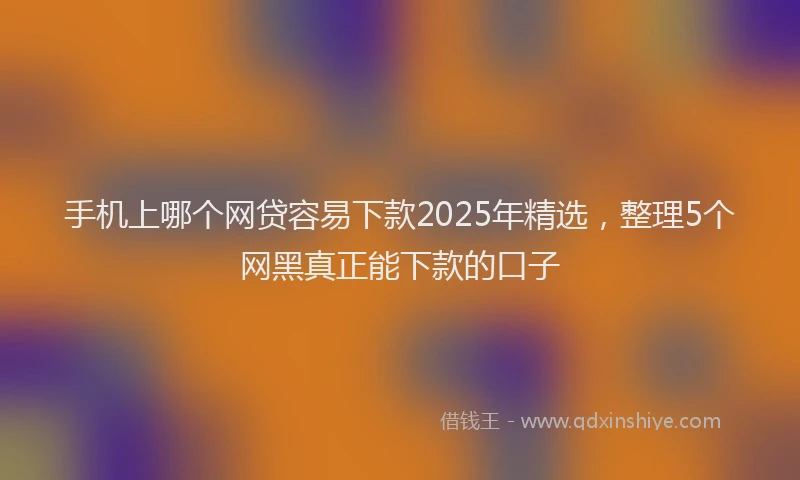 手机上哪个网贷容易下款2025年精选，整理5个网黑真正能下款的口子