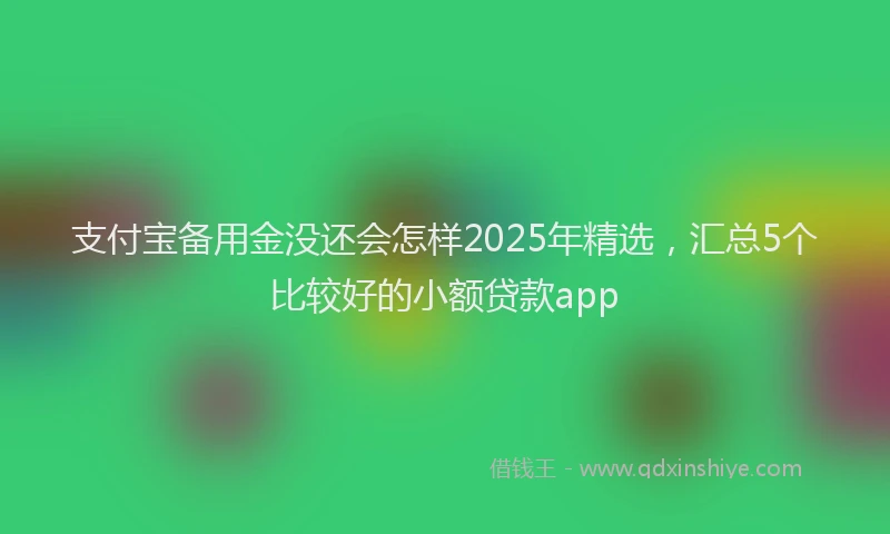 支付宝备用金没还会怎样2025年精选，汇总5个比较好的小额贷款app