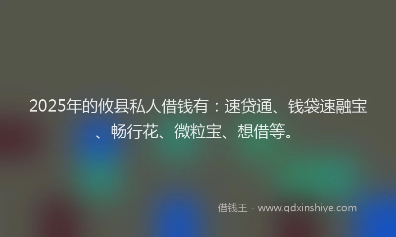 2025年的攸县私人借钱有：速贷通、钱袋速融宝、畅行花、微粒宝、想借等。