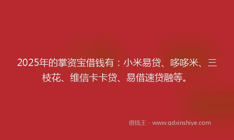 2025年的掌资宝借钱有：小米易贷、哆哆米、三枝花、维信卡卡贷、易借速贷融等。