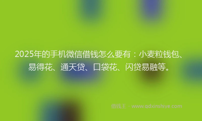 2025年的手机微信借钱怎么要有：小麦粒钱包、易得花、通天贷、口袋花、闪贷易融等。