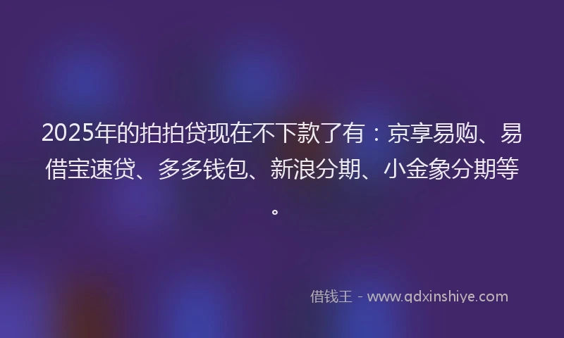 2025年的拍拍贷现在不下款了有：京享易购、易借宝速贷、多多钱包、新浪分期、小金象分期等。