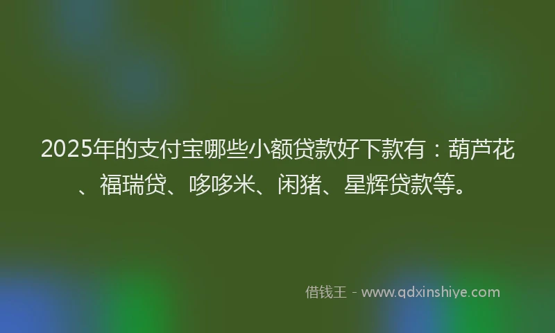 2025年的支付宝哪些小额贷款好下款有：葫芦花、福瑞贷、哆哆米、闲猪、星辉贷款等。
