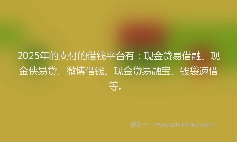 2025年的支付的借钱平台有：现金贷易借融、现金侠易贷、微博借钱、现金贷易融宝、钱袋速借等。