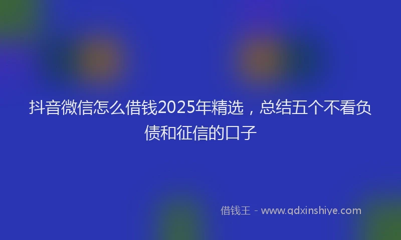 抖音微信怎么借钱2025年精选，总结五个不看负债和征信的口子