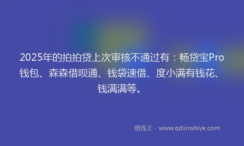 2025年的拍拍贷上次审核不通过有：畅贷宝Pro钱包、森森借呗通、钱袋速借、度小满有钱花、钱满满等。