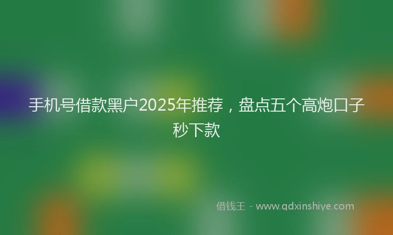 手机号借款黑户2025年推荐，盘点五个高炮口子秒下款