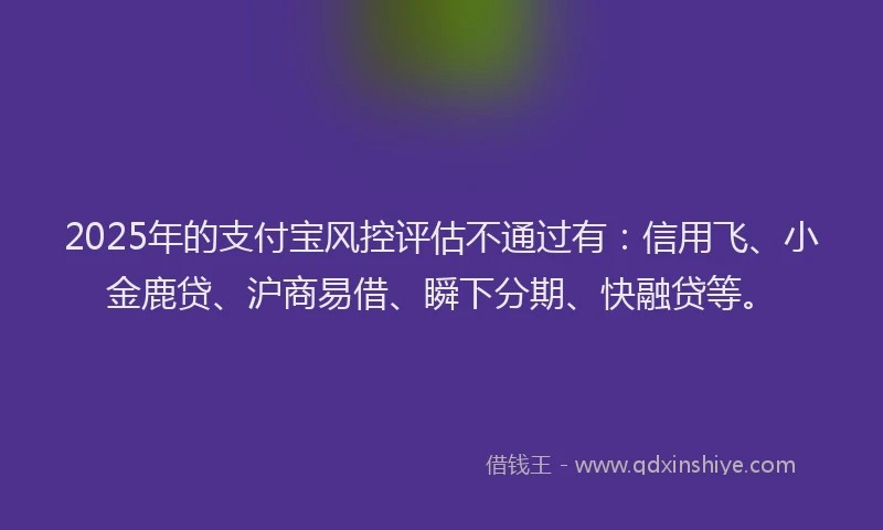 2025年的支付宝风控评估不通过有：信用飞、小金鹿贷、沪商易借、瞬下分期、快融贷等。