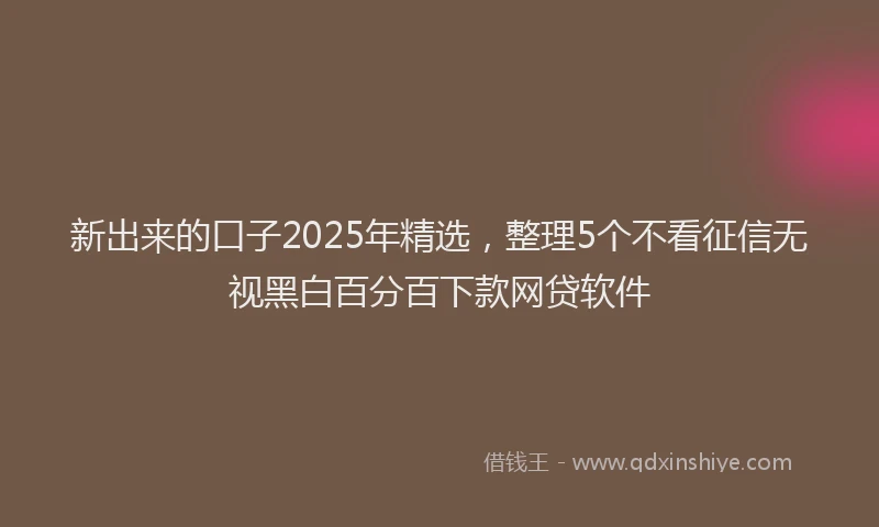 新出来的口子2025年精选，整理5个不看征信无视黑白百分百下款网贷软件