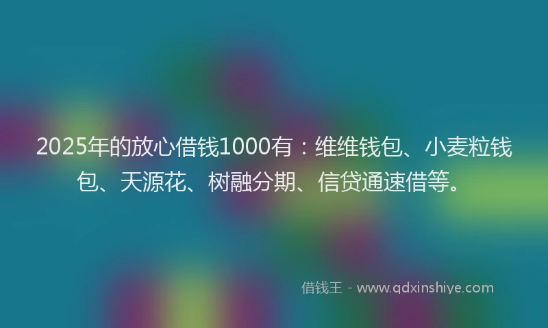 2025年的放心借钱1000有：维维钱包、小麦粒钱包、天源花、树融分期、信贷通速借等。