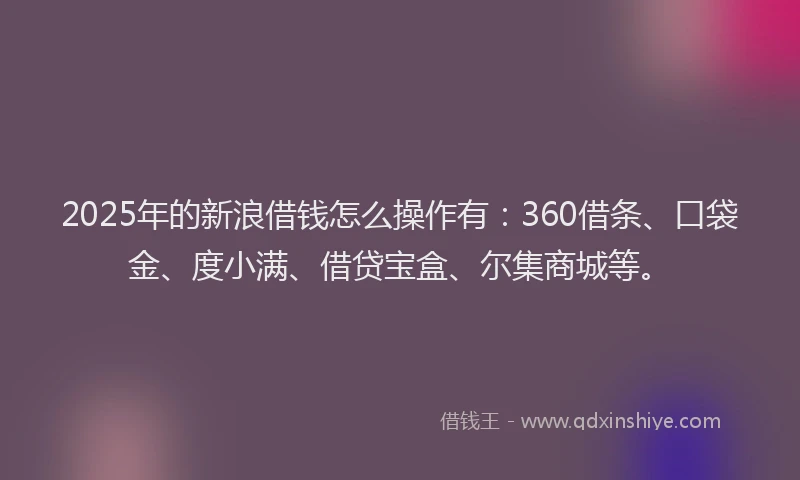2025年的新浪借钱怎么操作有：360借条、口袋金、度小满、借贷宝盒、尔集商城等。