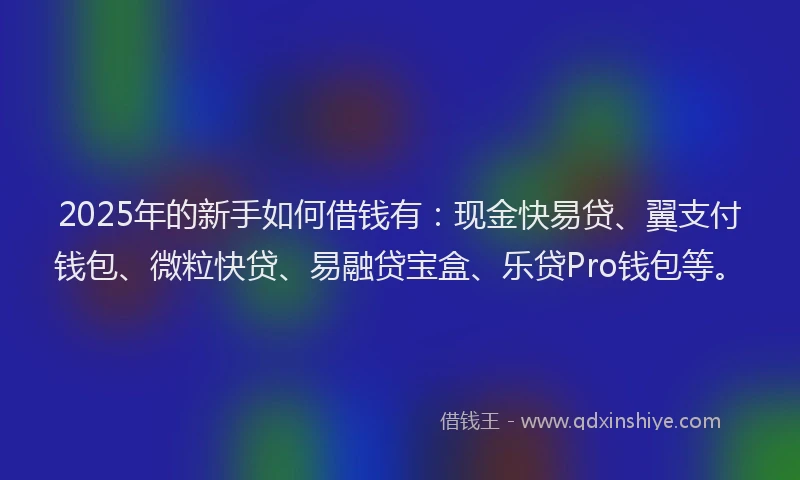 2025年的新手如何借钱有：现金快易贷、翼支付钱包、微粒快贷、易融贷宝盒、乐贷Pro钱包等。