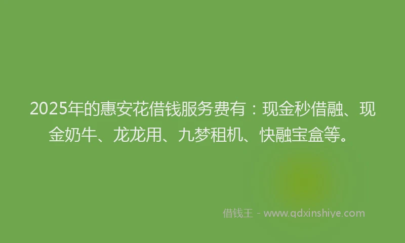 2025年的惠安花借钱服务费有：现金秒借融、现金奶牛、龙龙用、九梦租机、快融宝盒等。