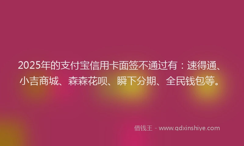 2025年的支付宝信用卡面签不通过有：速得通、小吉商城、森森花呗、瞬下分期、全民钱包等。