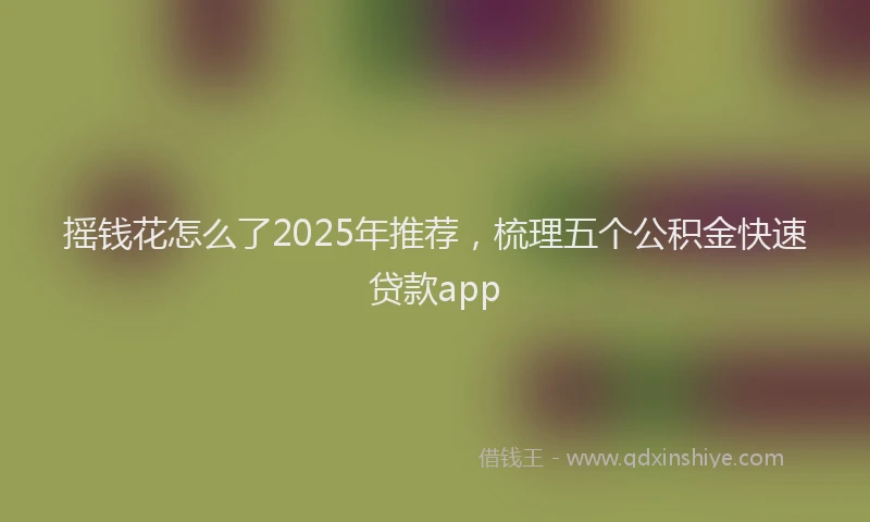 摇钱花怎么了2025年推荐，梳理五个公积金快速贷款app