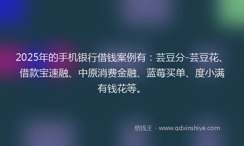 2025年的手机银行借钱案例有：芸豆分-芸豆花、借款宝速融、中原消费金融、蓝莓买单、度小满有钱花等。