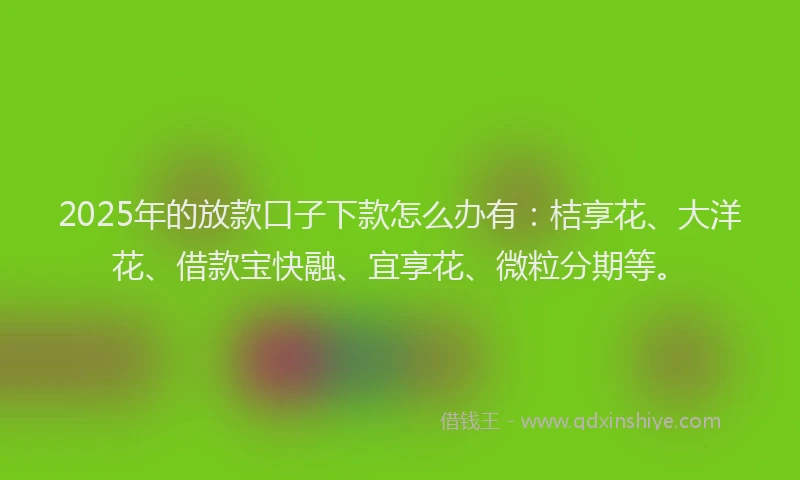 2025年的放款口子下款怎么办有：桔享花、大洋花、借款宝快融、宜享花、微粒分期等。