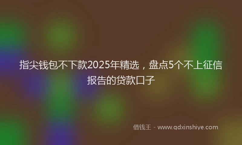 指尖钱包不下款2025年精选，盘点5个不上征信报告的贷款口子