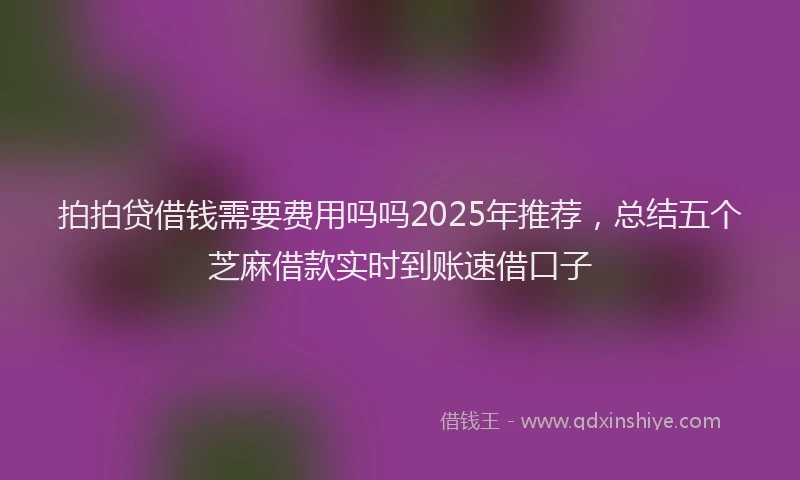 拍拍贷借钱需要费用吗吗2025年推荐，总结五个芝麻借款实时到账速借口子