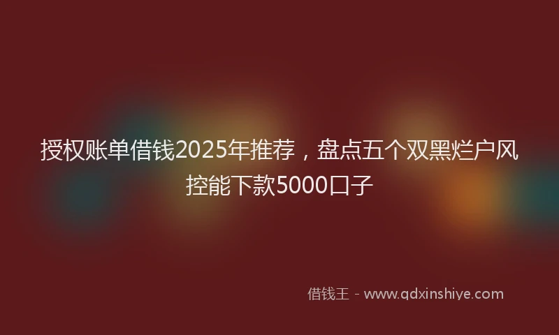 授权账单借钱2025年推荐，盘点五个双黑烂户风控能下款5000口子