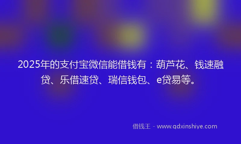2025年的支付宝微信能借钱有：葫芦花、钱速融贷、乐借速贷、瑞信钱包、e贷易等。