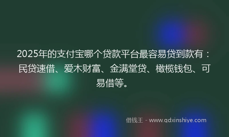 2025年的支付宝哪个贷款平台最容易贷到款有：民贷速借、爱木财富、金满堂贷、橄榄钱包、可易借等。