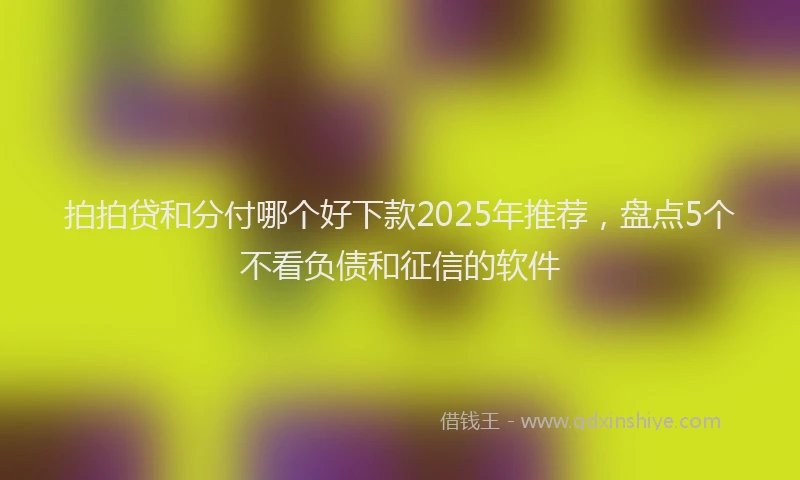 拍拍贷和分付哪个好下款2025年推荐，盘点5个不看负债和征信的软件