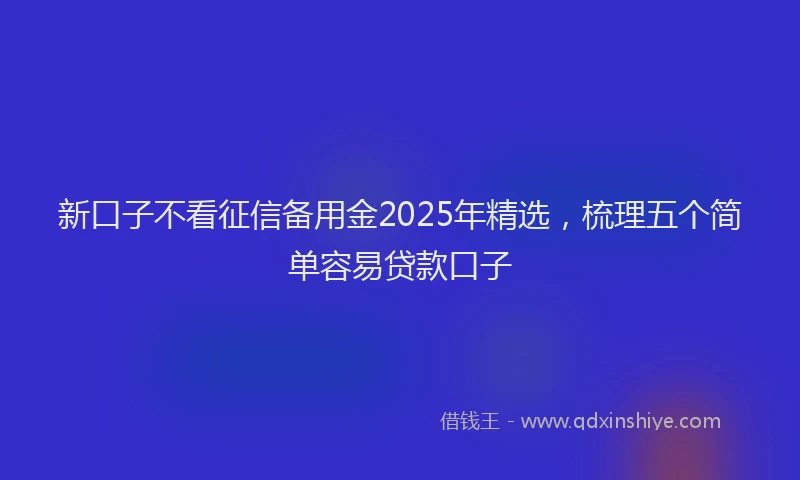新口子不看征信备用金2025年精选，梳理五个简单容易贷款口子