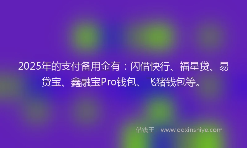 2025年的支付备用金有：闪借快行、福星贷、易贷宝、鑫融宝Pro钱包、飞猪钱包等。