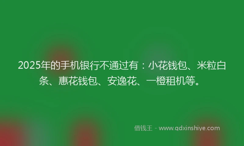 2025年的手机银行不通过有：小花钱包、米粒白条、惠花钱包、安逸花、一橙租机等。