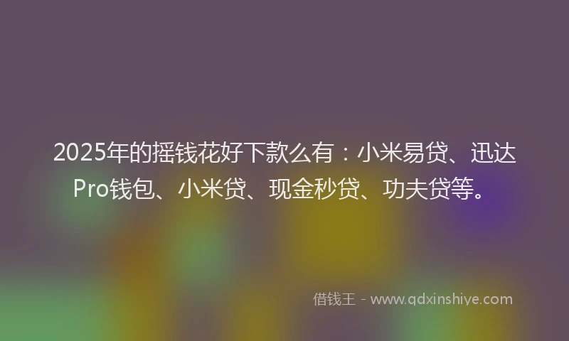 2025年的摇钱花好下款么有：小米易贷、迅达Pro钱包、小米贷、现金秒贷、功夫贷等。