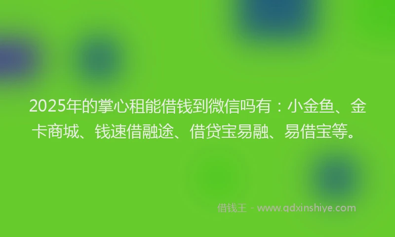 2025年的掌心租能借钱到微信吗有：小金鱼、金卡商城、钱速借融途、借贷宝易融、易借宝等。