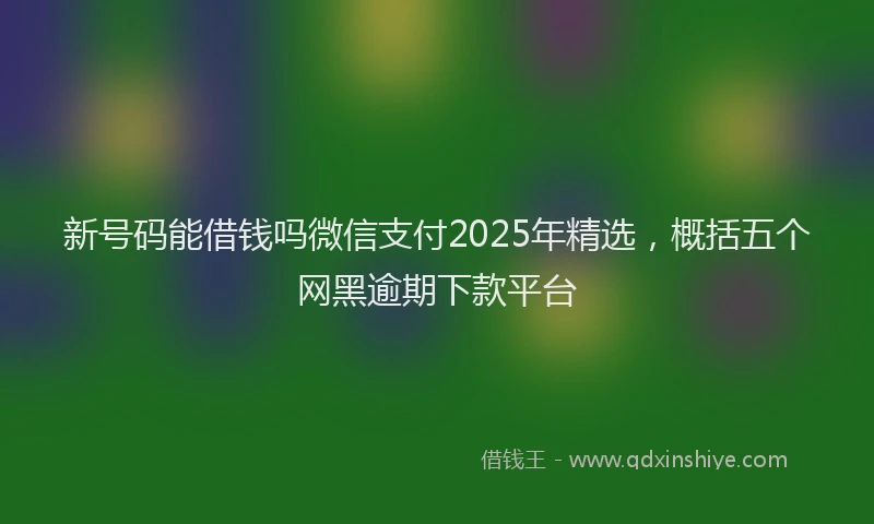 新号码能借钱吗微信支付2025年精选，概括五个网黑逾期下款平台
