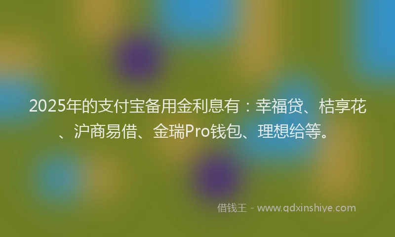 2025年的支付宝备用金利息有：幸福贷、桔享花、沪商易借、金瑞Pro钱包、理想给等。