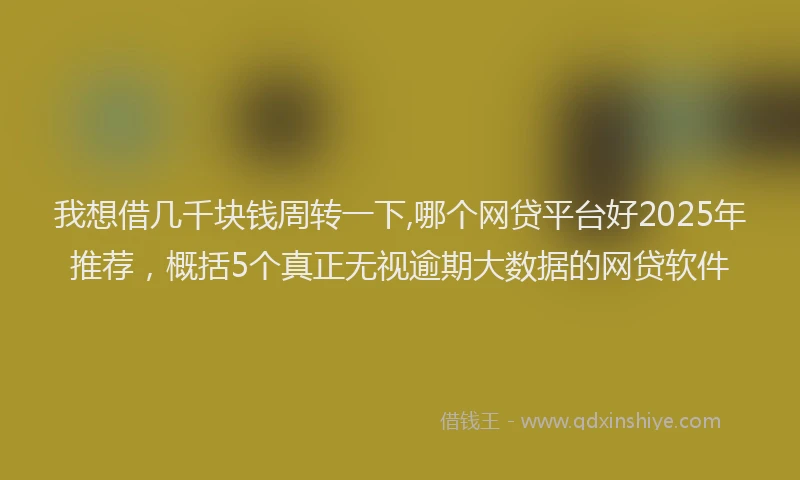 我想借几千块钱周转一下,哪个网贷平台好2025年推荐，概括5个真正无视逾期大数据的网贷软件
