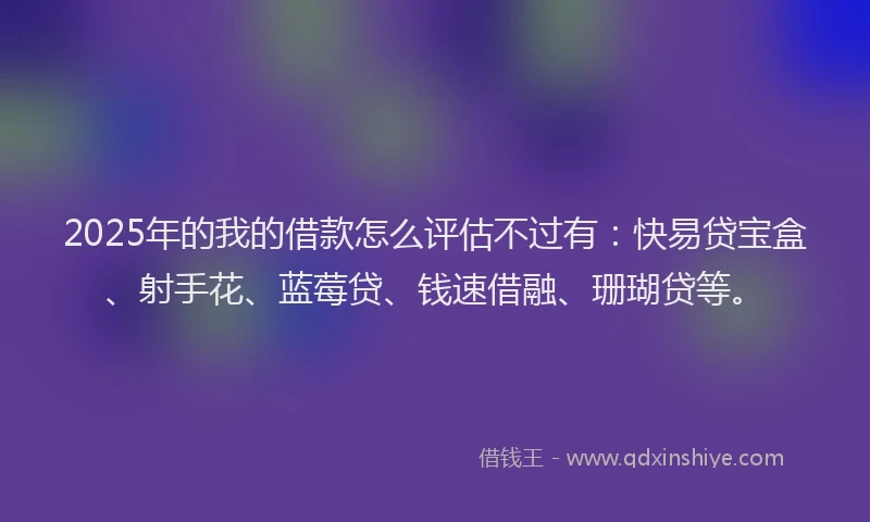 2025年的我的借款怎么评估不过有：快易贷宝盒、射手花、蓝莓贷、钱速借融、珊瑚贷等。