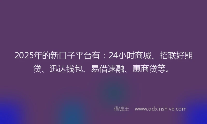 2025年的新口子平台有：24小时商城、招联好期贷、迅达钱包、易借速融、惠商贷等。