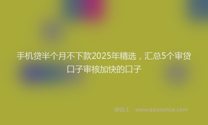 手机贷半个月不下款2025年精选，汇总5个审贷口子审核加快的口子