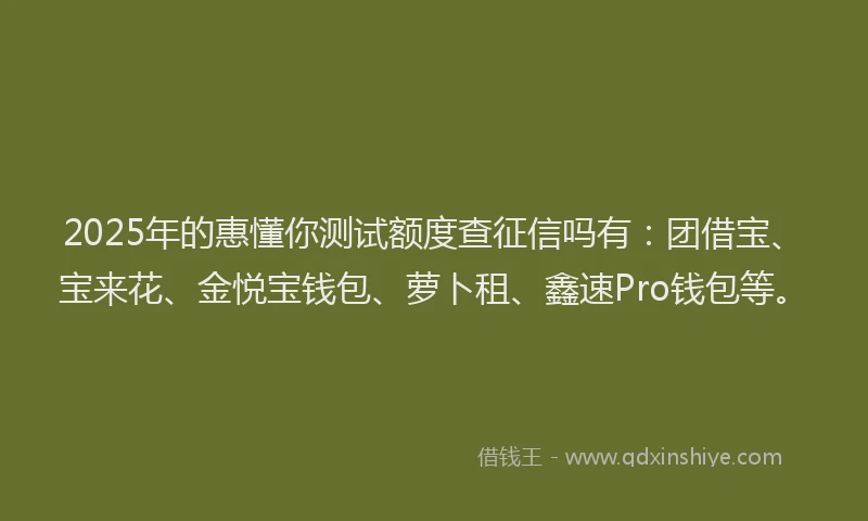 2025年的惠懂你测试额度查征信吗有：团借宝、宝来花、金悦宝钱包、萝卜租、鑫速Pro钱包等。