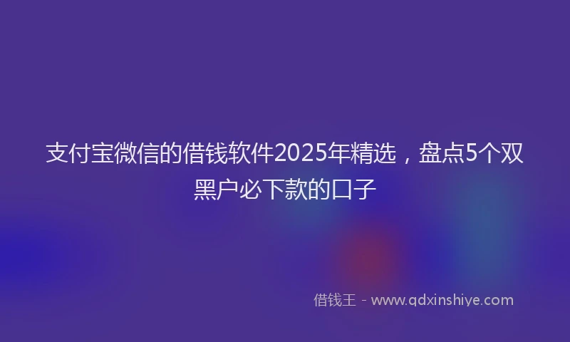 支付宝微信的借钱软件2025年精选，盘点5个双黑户必下款的口子