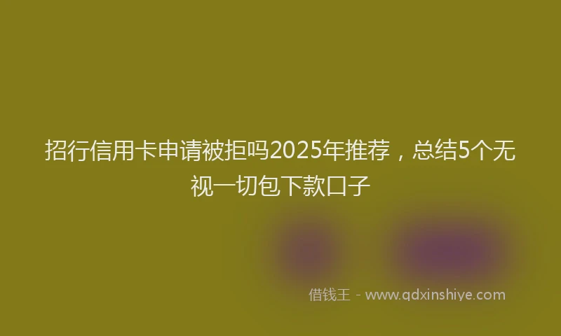 招行信用卡申请被拒吗2025年推荐，总结5个无视一切包下款口子