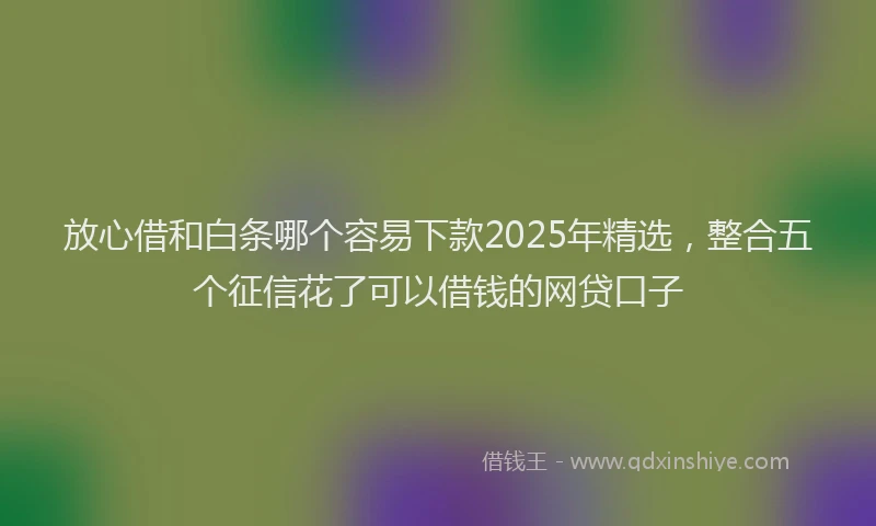 放心借和白条哪个容易下款2025年精选，整合五个征信花了可以借钱的网贷口子